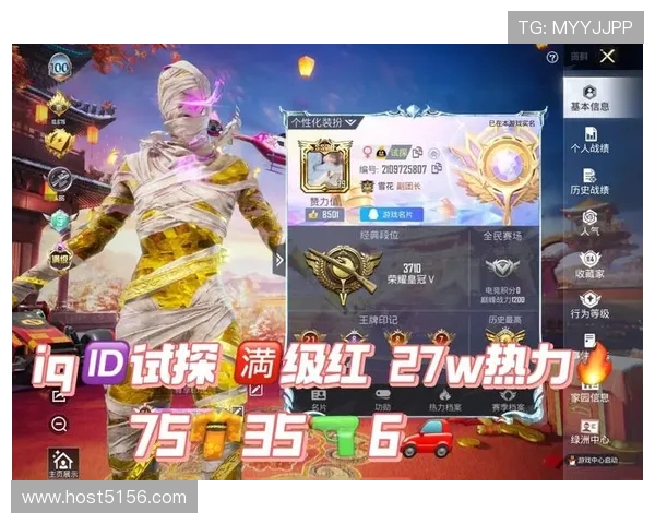 通过和平精英游戏ID能获取哪些玩家信息和数据分析